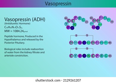 descubre una comparación detallada de oxytropin: ventajas, desventajas, usos y opiniones de usuarios. encuentra la información que necesitas para tomar una decisión informada sobre este producto.