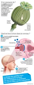 descubre los efectos de oxytropin, un suplemento de hormona de crecimiento, sus beneficios, posibles riesgos y consejos para un uso seguro y responsable.