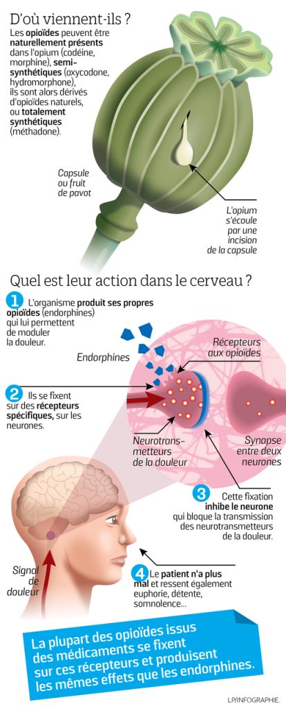 descubre los efectos de oxytropin, un suplemento de hormona de crecimiento, sus beneficios, posibles riesgos y consejos para un uso seguro y responsable.