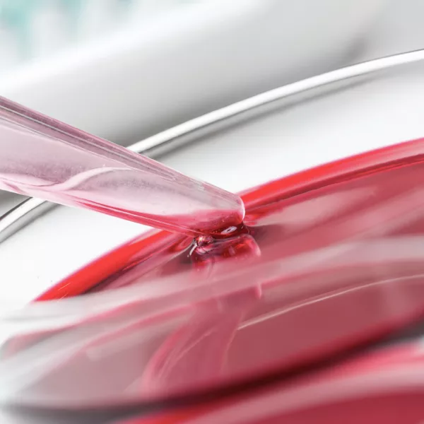 descubre el uso de la oxitropina en medicina regenerativa: aplicaciones, beneficios y cómo contribuye a la recuperación y regeneración de tejidos en tratamientos innovadores.