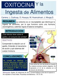 descubre cómo la oxitropina puede influir en la alimentación, su impacto en la digestión y los beneficios que aporta a la salud nutricional. información actualizada y basada en estudios científicos.