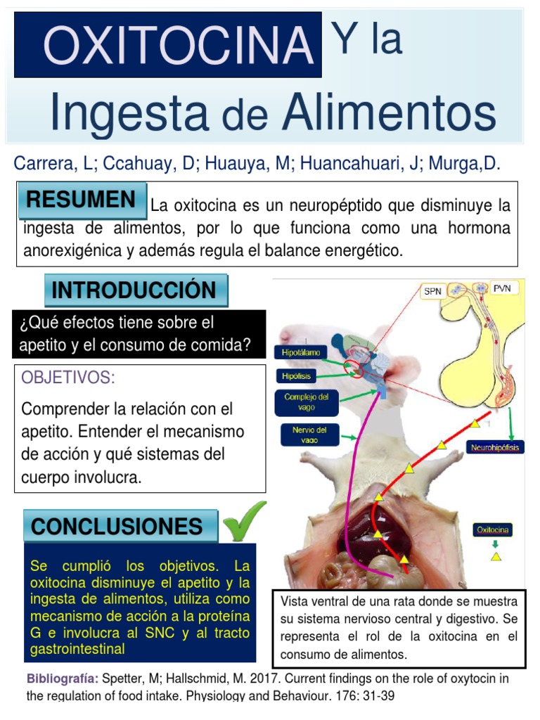 descubre cómo la oxitropina puede influir en la alimentación, su impacto en la digestión y los beneficios que aporta a la salud nutricional. información actualizada y basada en estudios científicos.